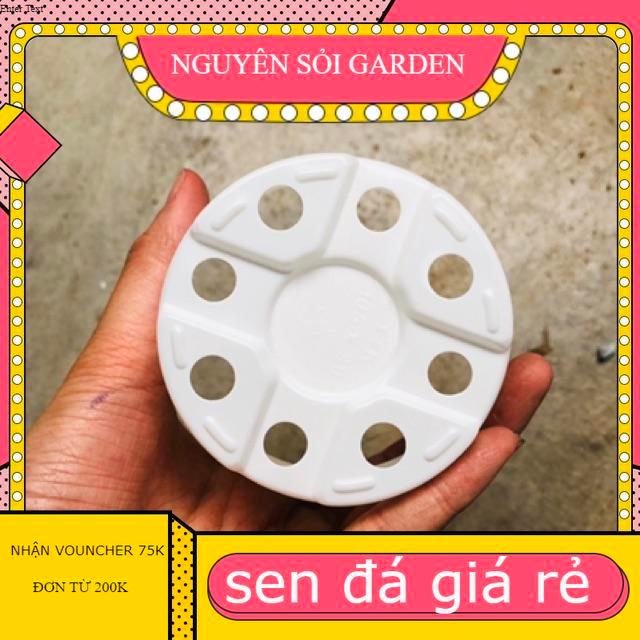 10 Chậu nhựa 10cm