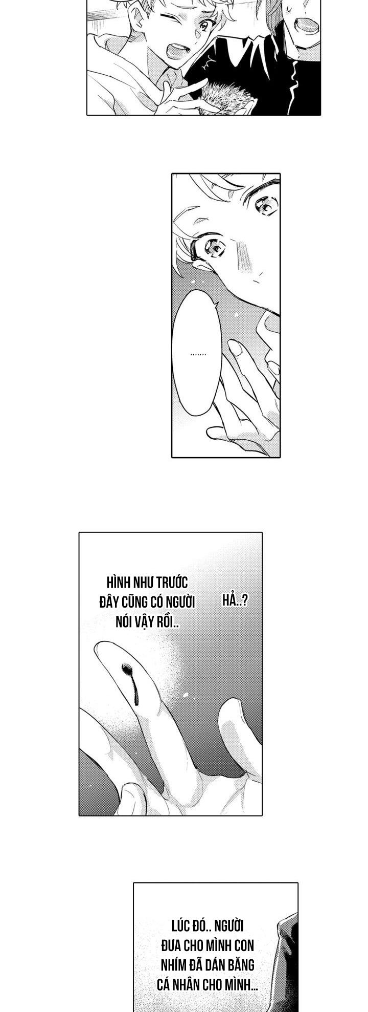 hiyoko-chan to harinezumi-kun chapter 8 37