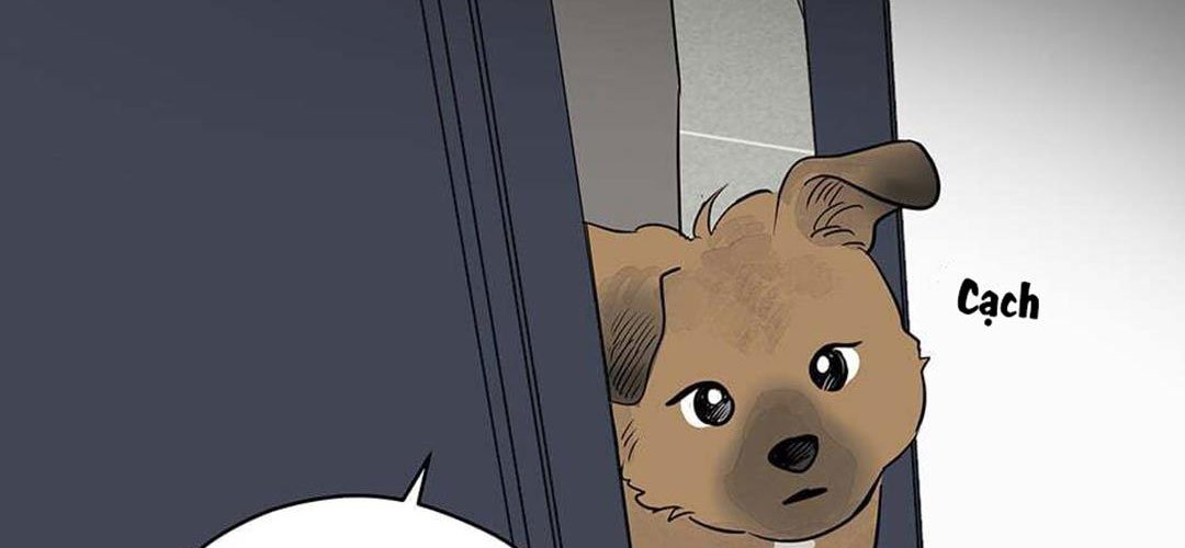 chuyện quái gì với giấc mơ đó vậy chapter 41 49