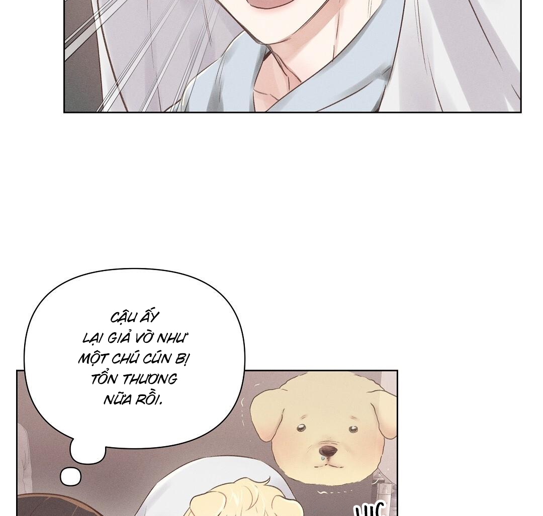 đại úy lãng mạn thân yêu của tôi chapter 23 5