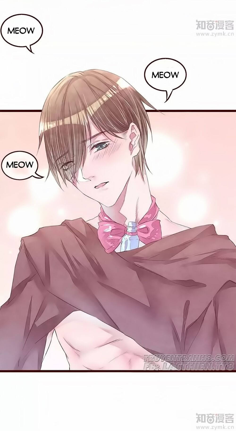 đào tạo nuôi dưỡng bạn trai mèo chapter 3 39