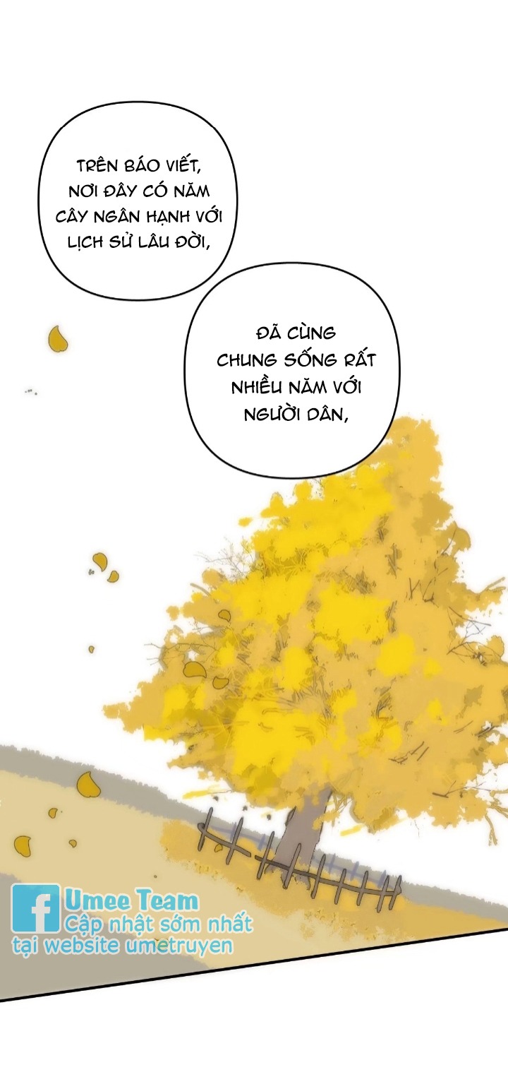 đêm đầy sao nói với em chapter 23 11