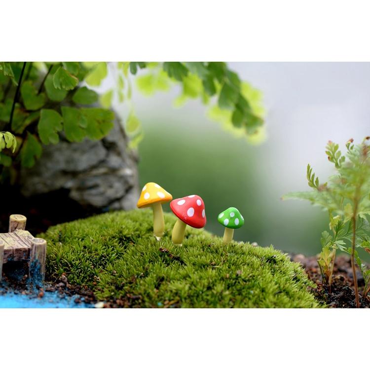 Tiểu cảnh mini ️ Nấm nhọn trang trí tiểu cảnh, sân vườn, sen đá, sân vườn, bể cá, bể terrarium