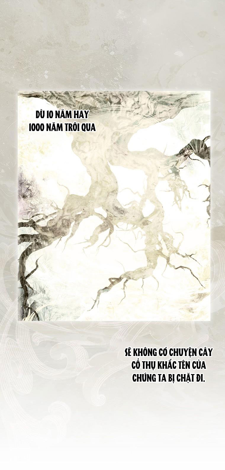 quý cô bí ẩn - secret lady chapter 83.2 15