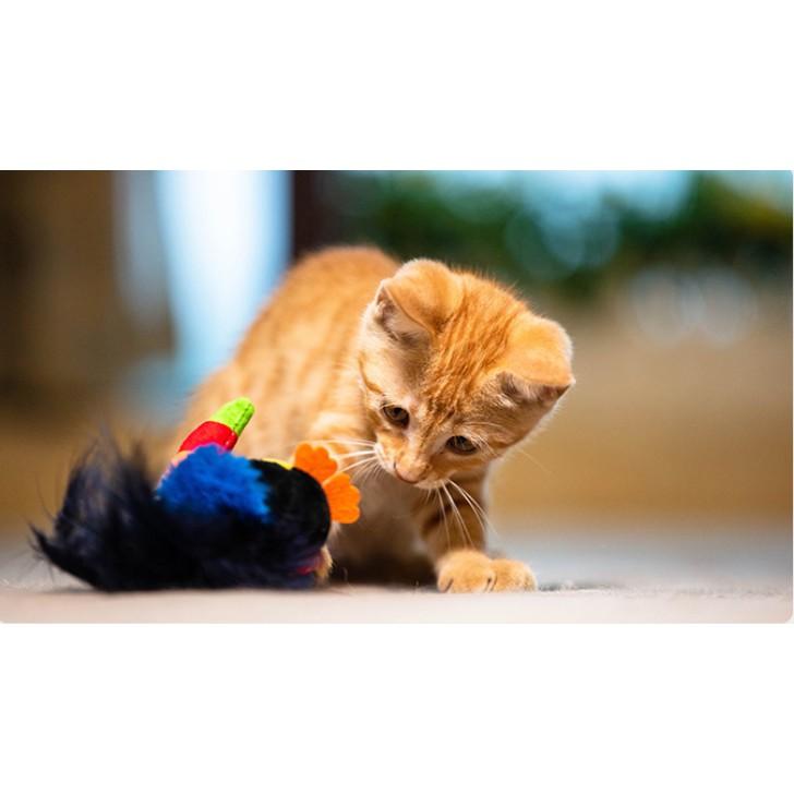 Gigwi đồ chơi tự động tạo tiếng với lông vũ