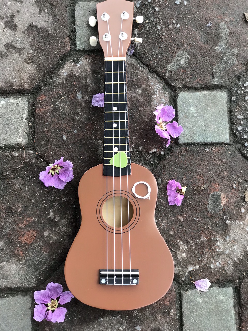 Đàn Ukulele màu nâu (SOL.G)