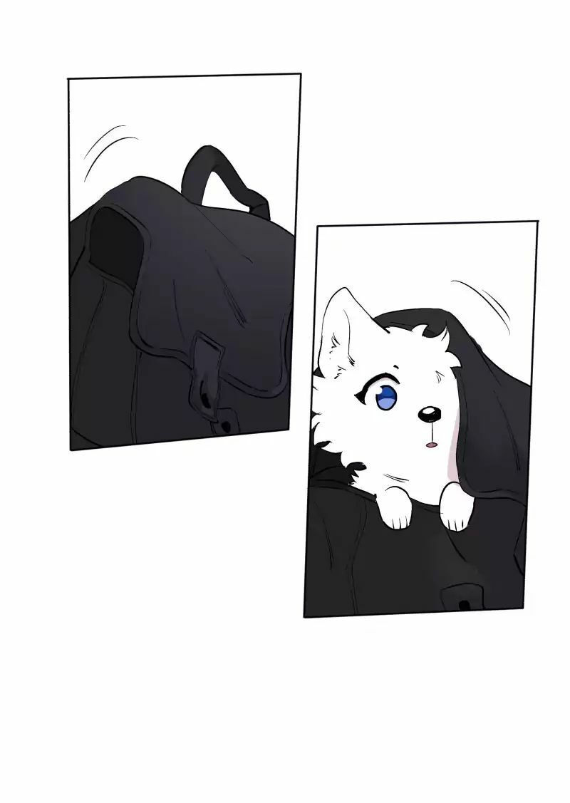 lumine - cội nguồn ánh sáng chapter 43 21