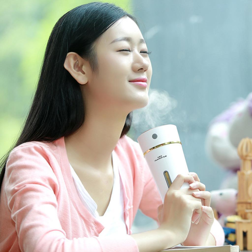 300ml Portable USB Air Humidifier with Waterless Auto Shut Off