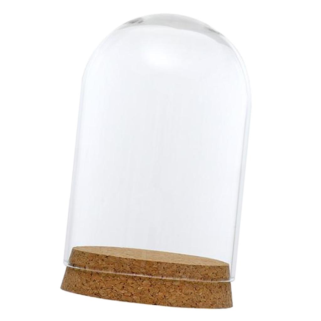 3xGlass Cover Landscape Terrarium Container Lid Vase Bottle 8x12cm