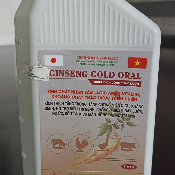 Siêu vỗ béo - dung dịch thảo dược GINSENG GOLD ORAL thành phần cao sâm