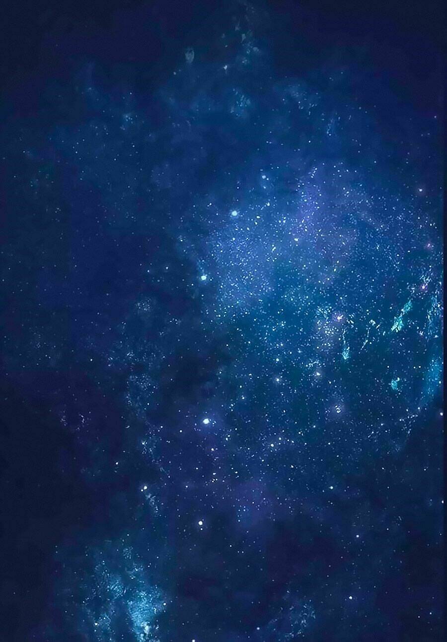 chỉ nhiễm thành hôn chapter 193 21