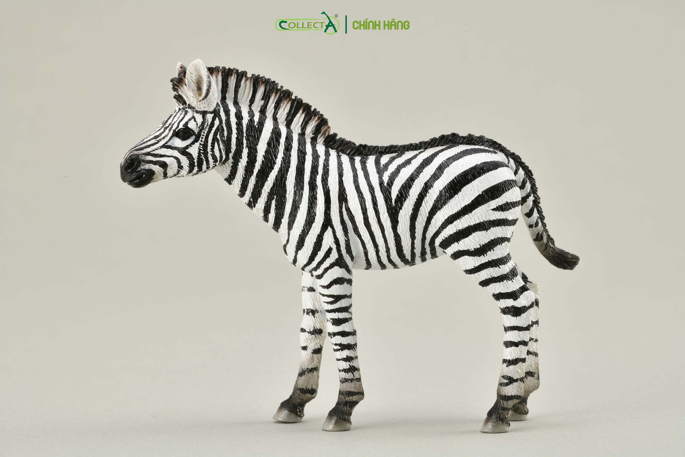 Mô hình thu nhỏ: Ngựa Vằn con - Zebra Foal , hiệu: CollectA, mã HS 9651071[88850] -  Chất liệu an toàn cho trẻ - Hàng chính hãng