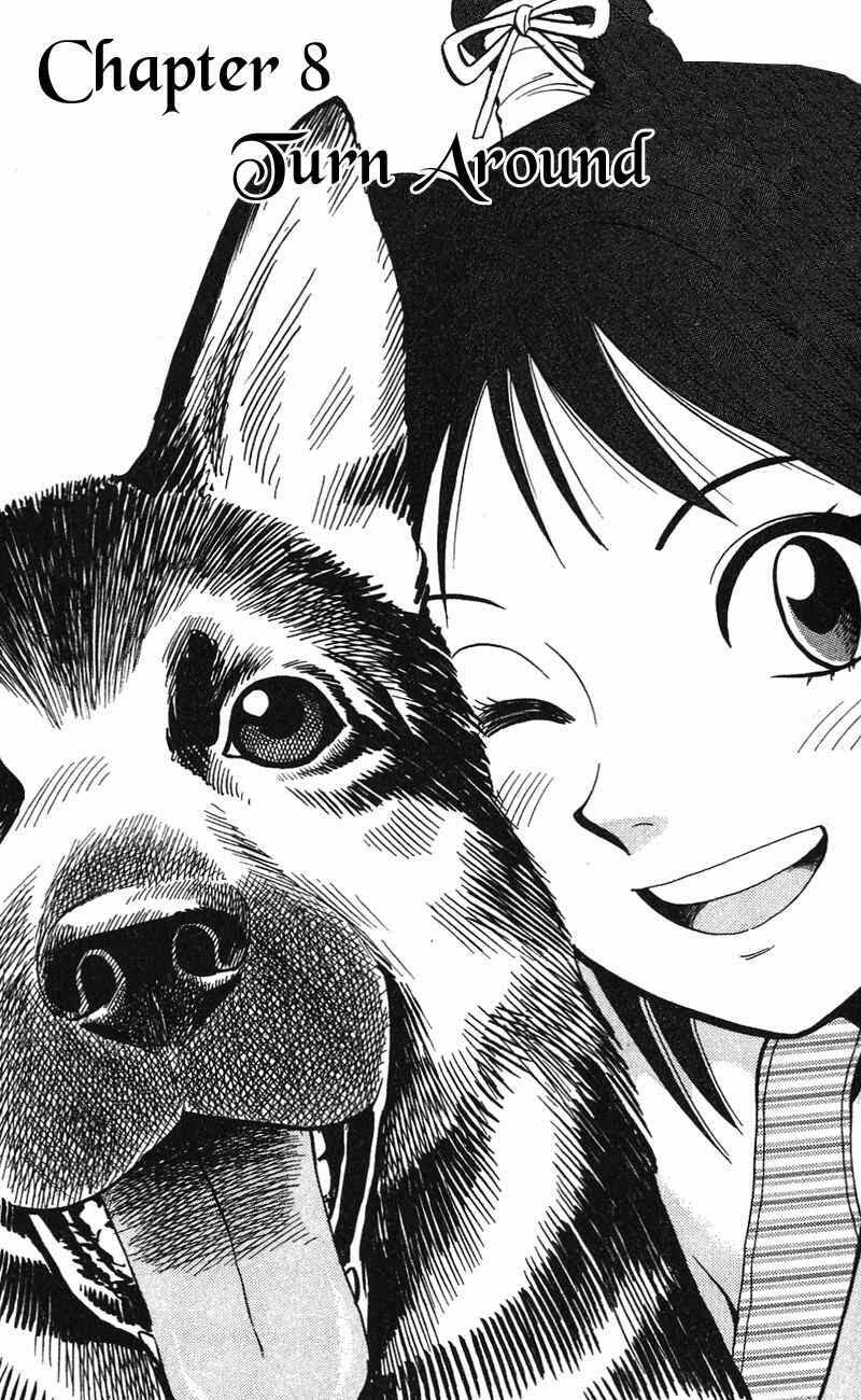animal sense chapter 8 2