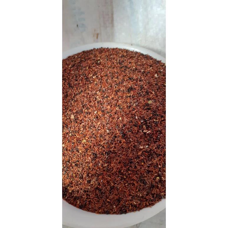 Hạt giống cây bạch đàn đỏ KNS3692 - gói 50gram