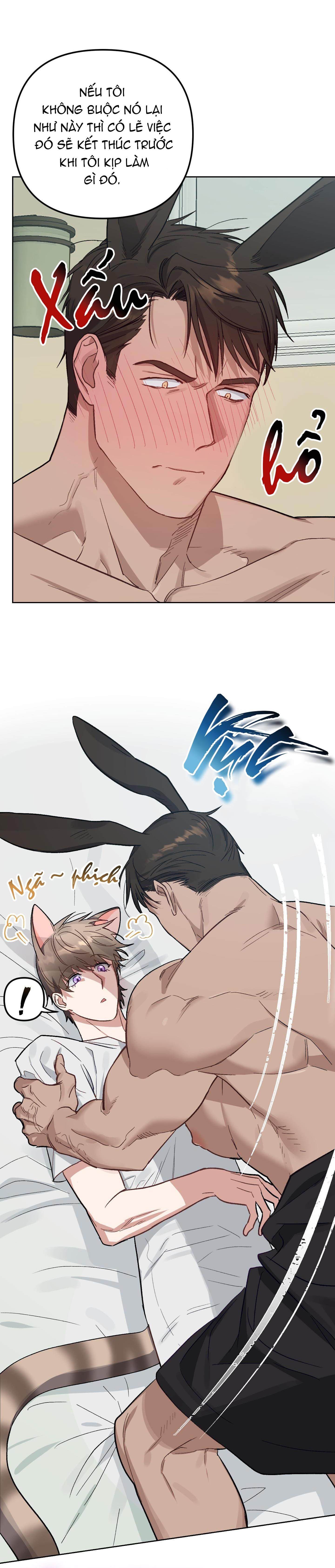 chú thỏ chỉ cần 3 giây là xuất tinh chapter 4 4