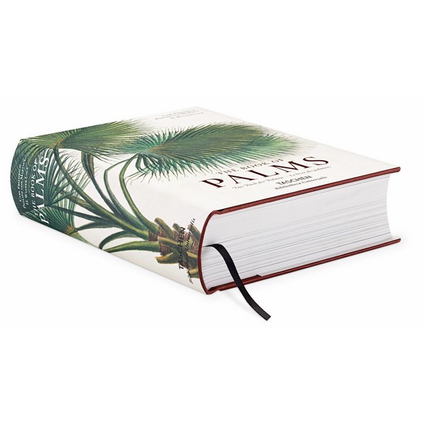 The Book Of Palms