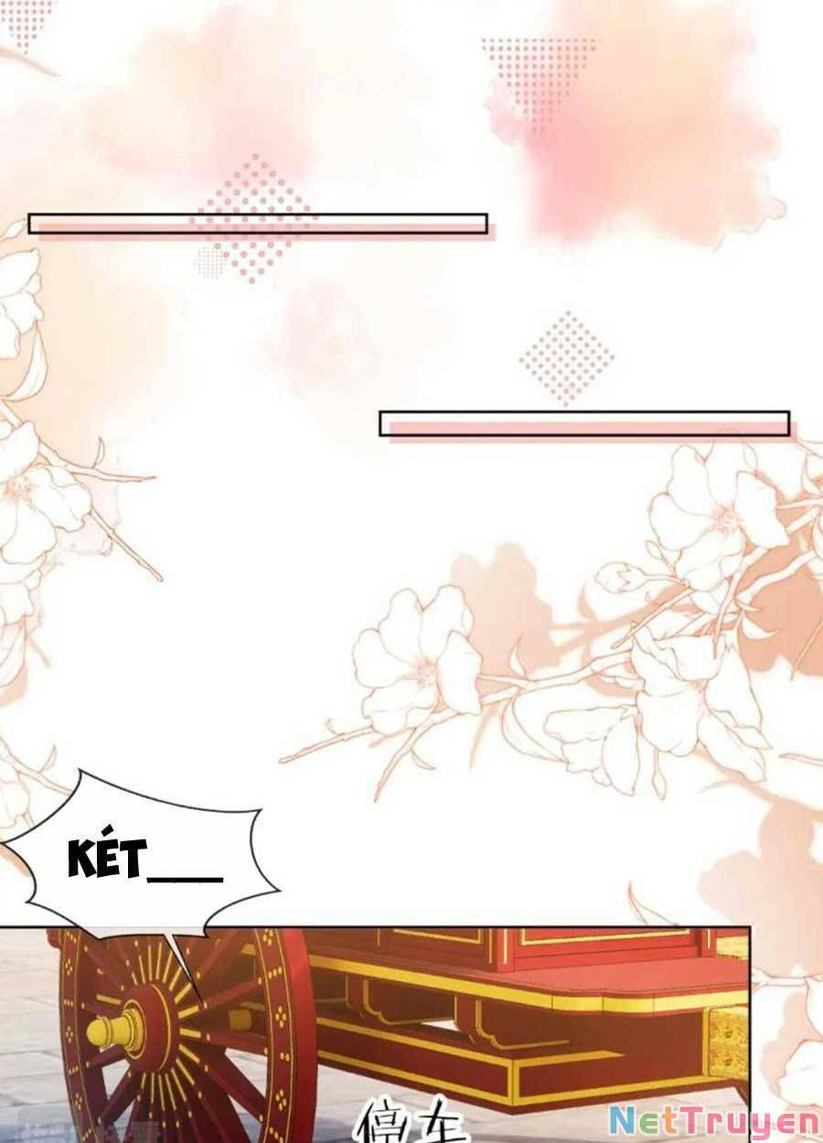 nhặt được bảo bối manh manh chapter 108 38