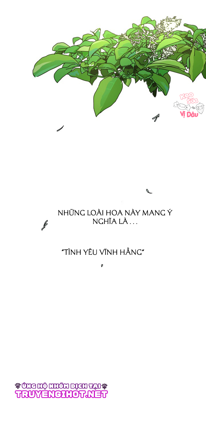 xin chào, mùa hạ chapter 1.1 2