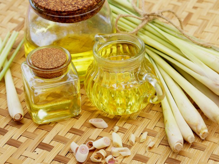 Tinh dầu Sả Chanh Thiên Nhiên Cao Cấp 50ML (Lemongrass) - Tinh dầu Sả Chanh Nguyên Chất TIDAMO Giúp Bảo Vệ Sức Khỏe, Kháng Khuẩn, Đuổi Muỗi Và Thư Giãn Tinh Thần