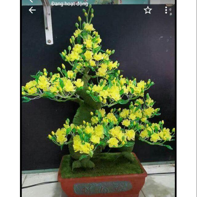 Combo chậu hoa đá pha lê