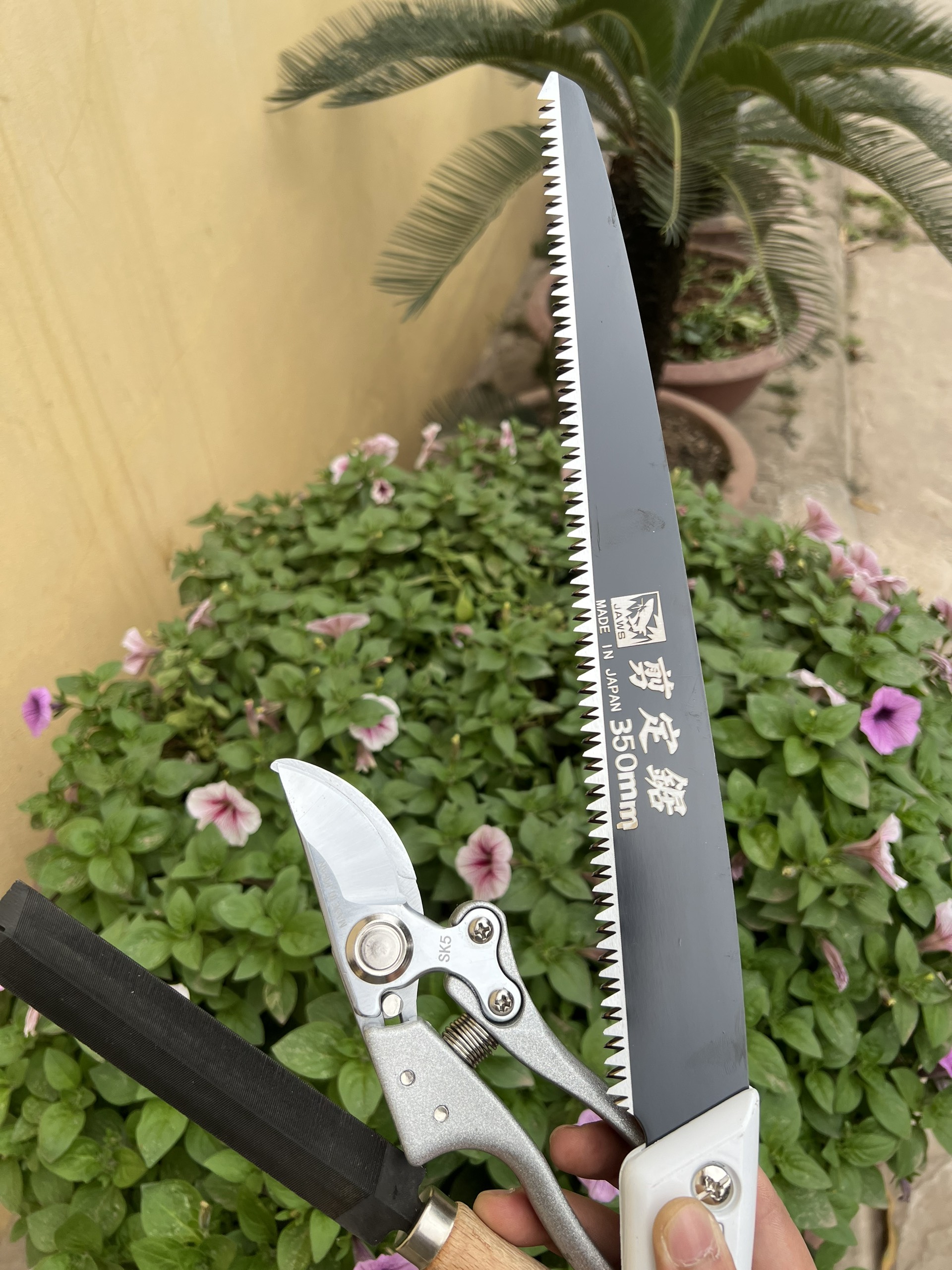 Combo Cưa cắt cành Nhật Bản  + Kéo Cắt Cành SK5 Nhật Bản + Dũa Cưa, Dũa Kéo. Dụng cắt tỉa cây cảnh, cây bonsai