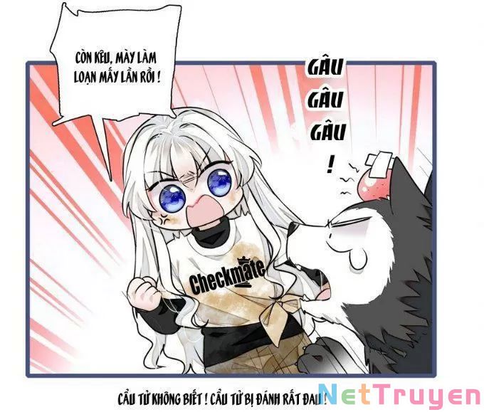 long phượng phiên chuyển chapter 64 11