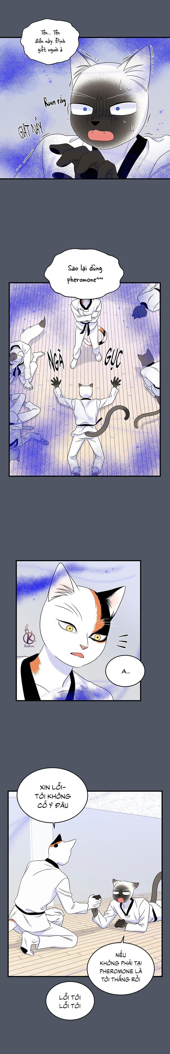 dự án xanh chapter 40 12