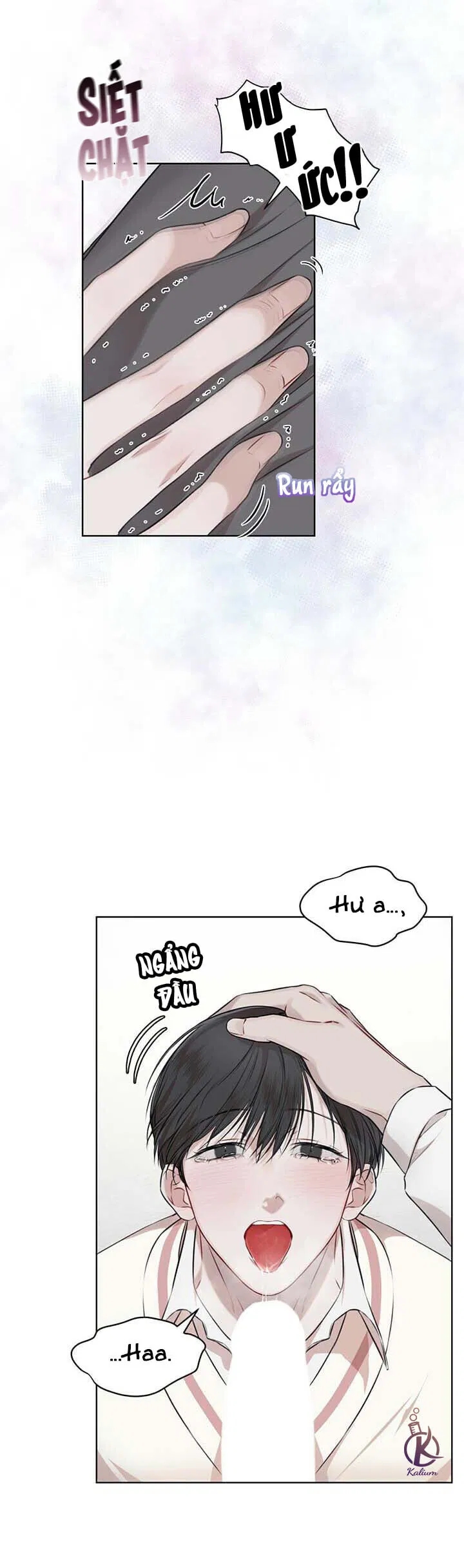 hình thái khởi sinh chapter 22 16