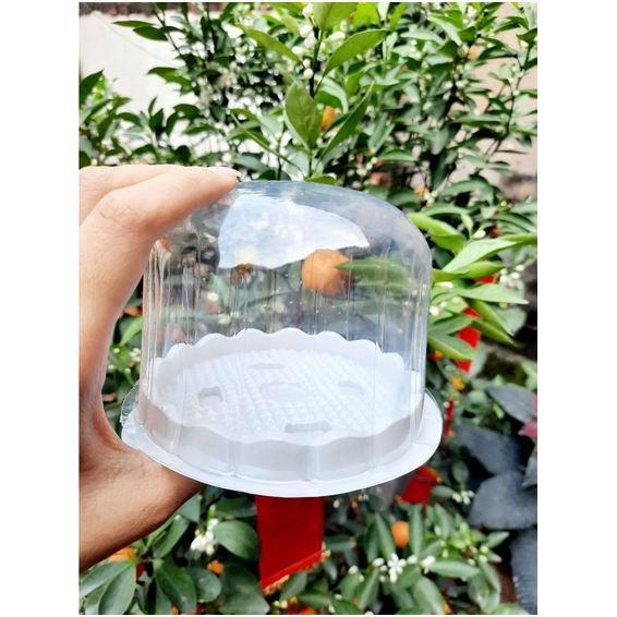 100 Hộp H15 Bầu đựng bánh rau câu hoa nổi - phú sỉ - xôi khuôn 10cm