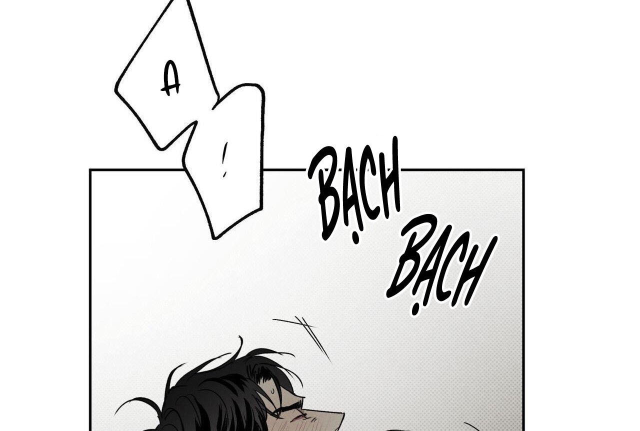 chàng giao pizza và gold palace chapter 47 19