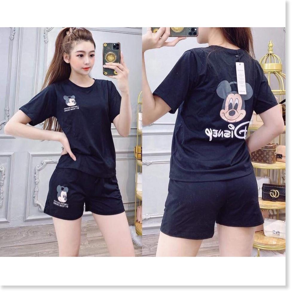 Set áo thun nữ quần đùi nữ cotton