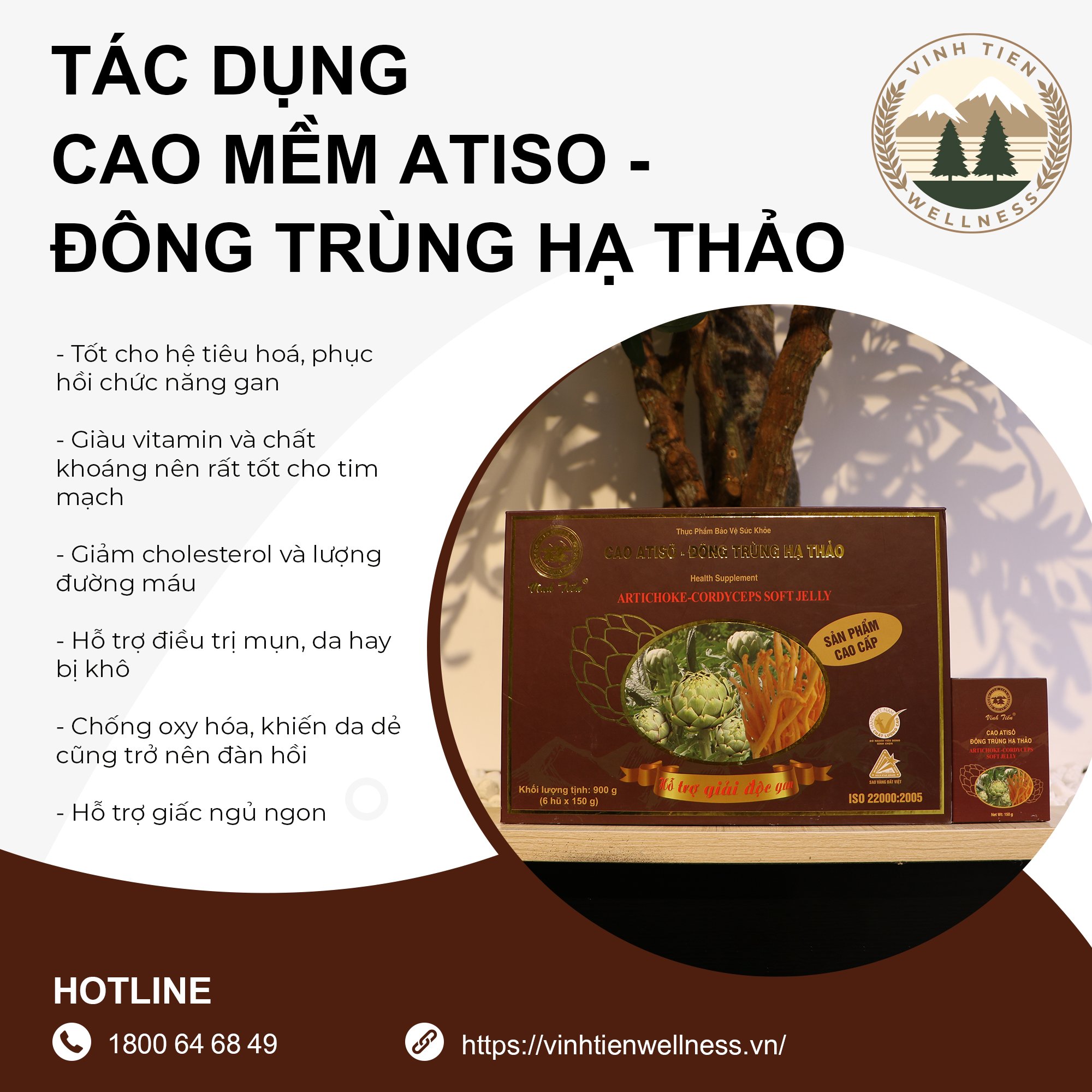 Cao Mềm Atiso - Đông Trùng Hạ Thảo Vĩnh Tiến -