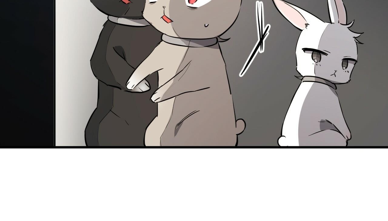 đàn thỏ của habibi chapter 47 56