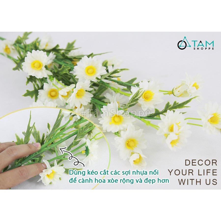 Cành hoa cúc hoa mi giả dáng cành cao CHG-135