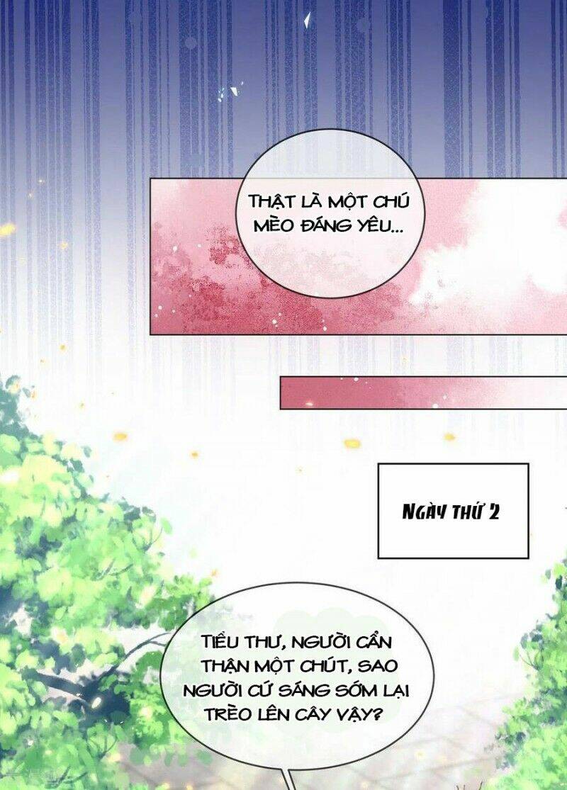 thị huyết y phi chapter 82 5