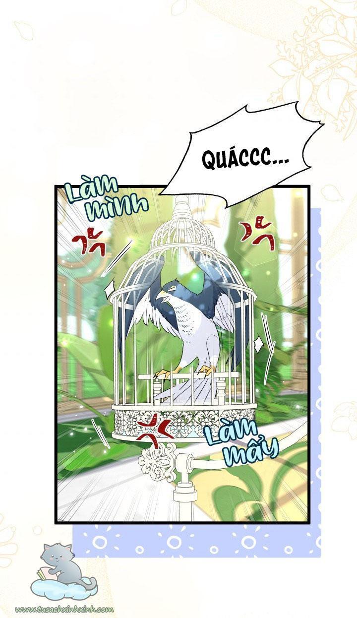 quan hệ cộng sinh giữa báo đen và thỏ trắng chapter 61 3