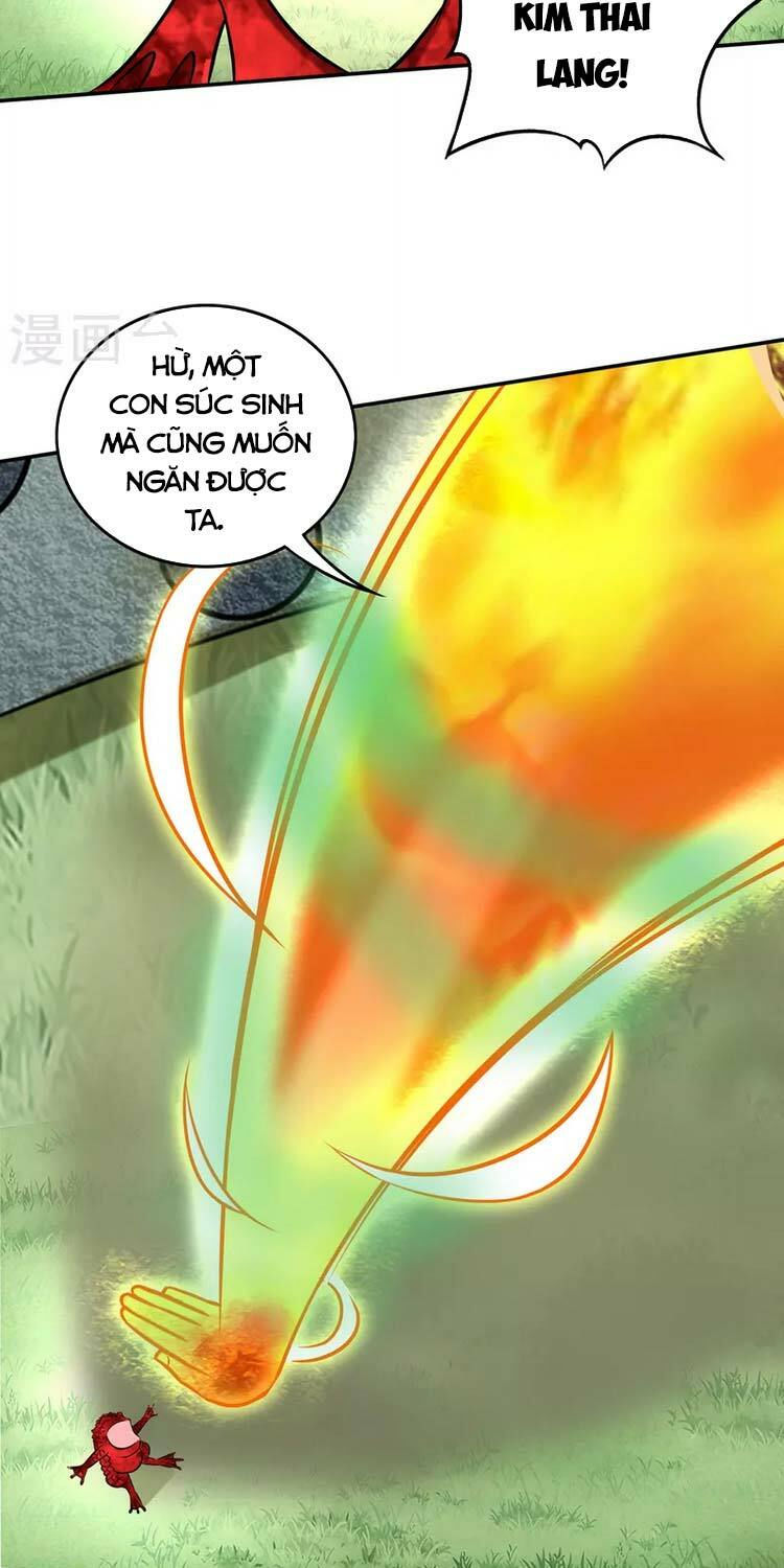 tối cường thần y tại đô thị chapter 213 9