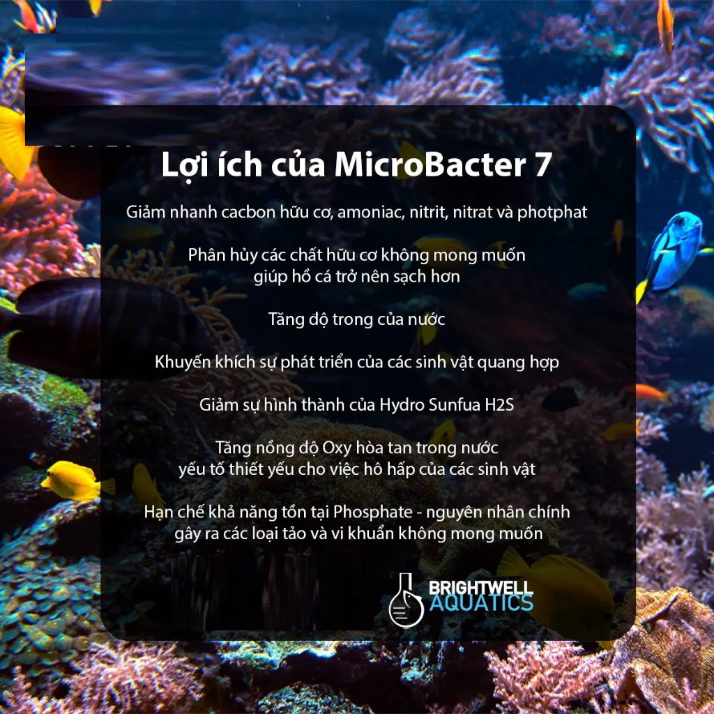 Vi sinh MicroBacter 7 chuyên dụng cho hồ cá biển, bể thủy sinh –vi sinh cao cấp Brigh.twell Aqua.tics - shopleo