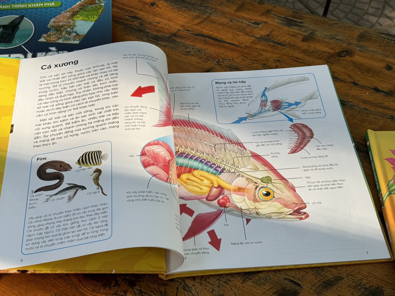 HÀNH TRÌNH KHÁM PHÁ – ĐỘNG VẬT_Gerald Legg &amp; Steve Weston- Hà Như Hoa dịch- Tân Việt - NXB Mỹ Thuật