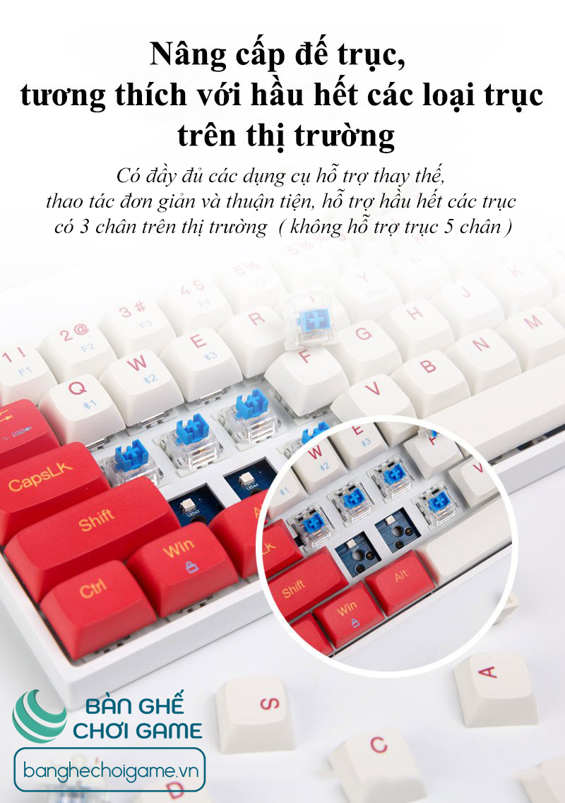 Bàn phím cơ không dây Bluetooth Newmen GM680 Jungle Hot Swap Outemu Switch - Hàng chính hãng