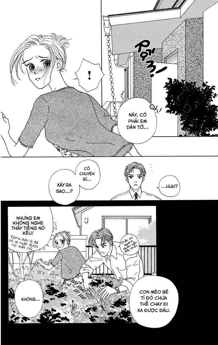 cuộc sống thường nhật của mèo zaccho chapter 1.5 26