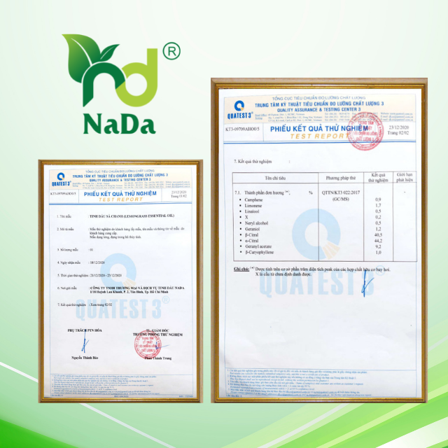 Tinh dầu ngọc lan tây nguyên chất Nada