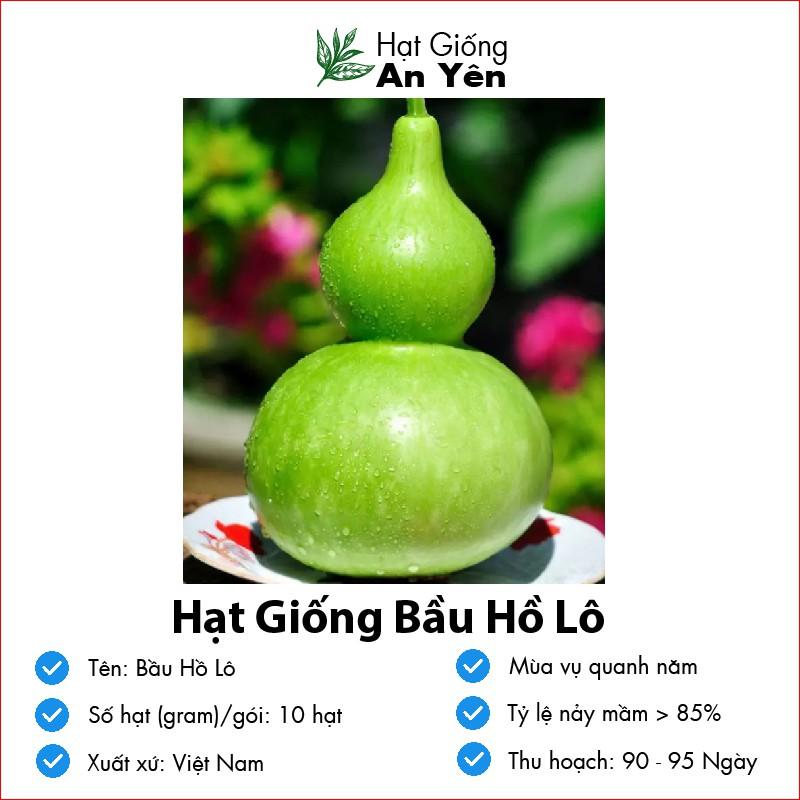 Hạt giống Bầu Hồ Lô thu hoạch sớm, dễ trồng, nảy mầm cao, sinh trưởng khoẻ