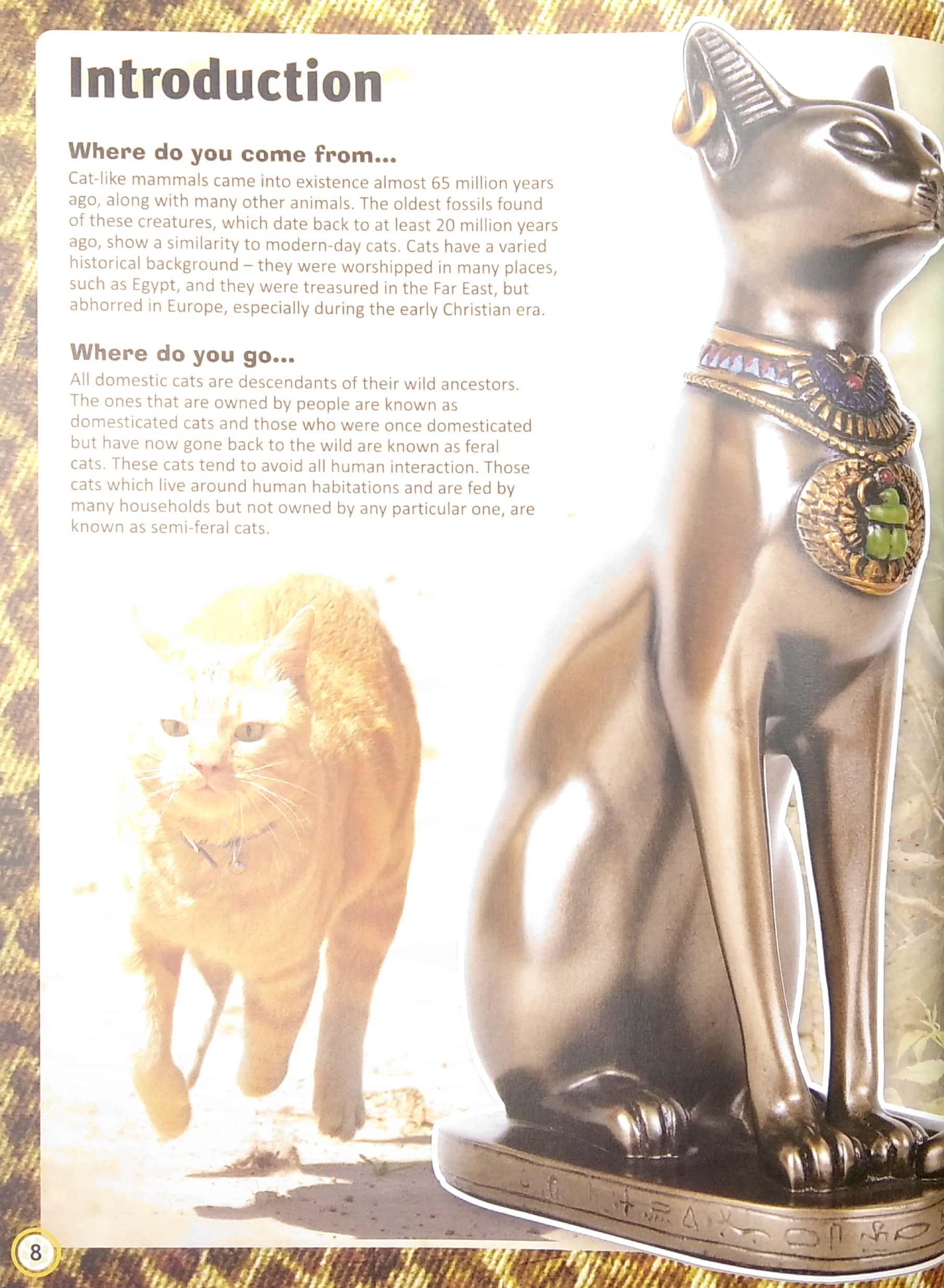 Encyclopedia Of Cats