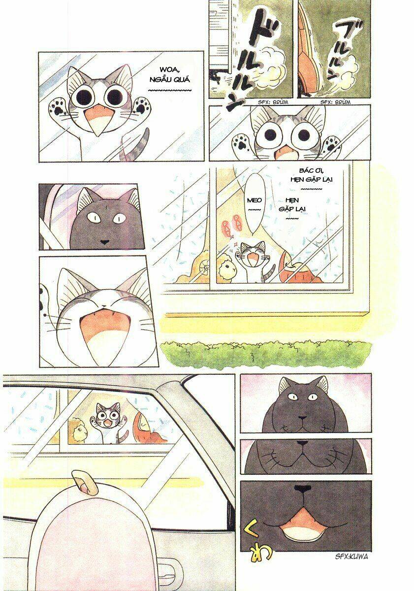 chi's sweet home chapter 53 6