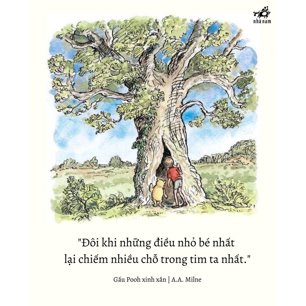 Sách Gấu Pooh xinh xắn - Nhã Nam - BẢN QUYỀN