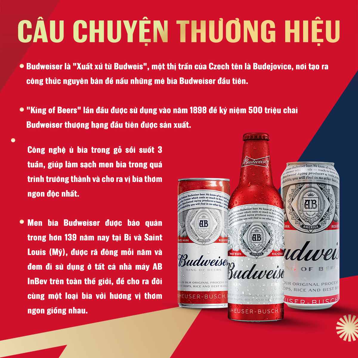 Thùng 24 Lon Bia Budweiser Chính Hãng (330ml/ lon) - Phiên Bản Tết 2024