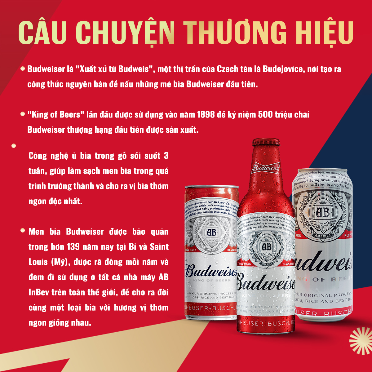 Combo 2 Lốc 6 Lon Bia Budweiser (330ml / Lon)