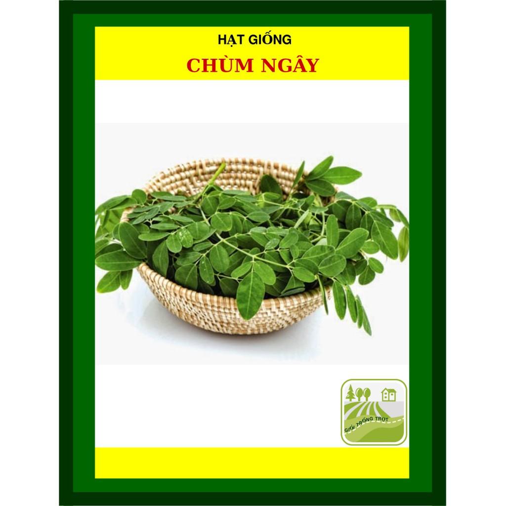 Hạt Giống Chùm Ngây Gói 2 Gram
