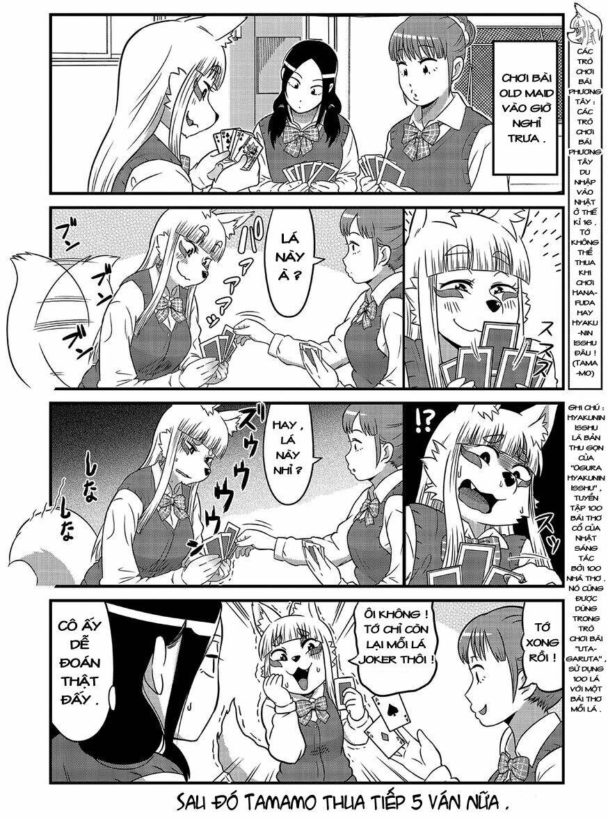 high school inari tamamo-chan ! chapter 3 7